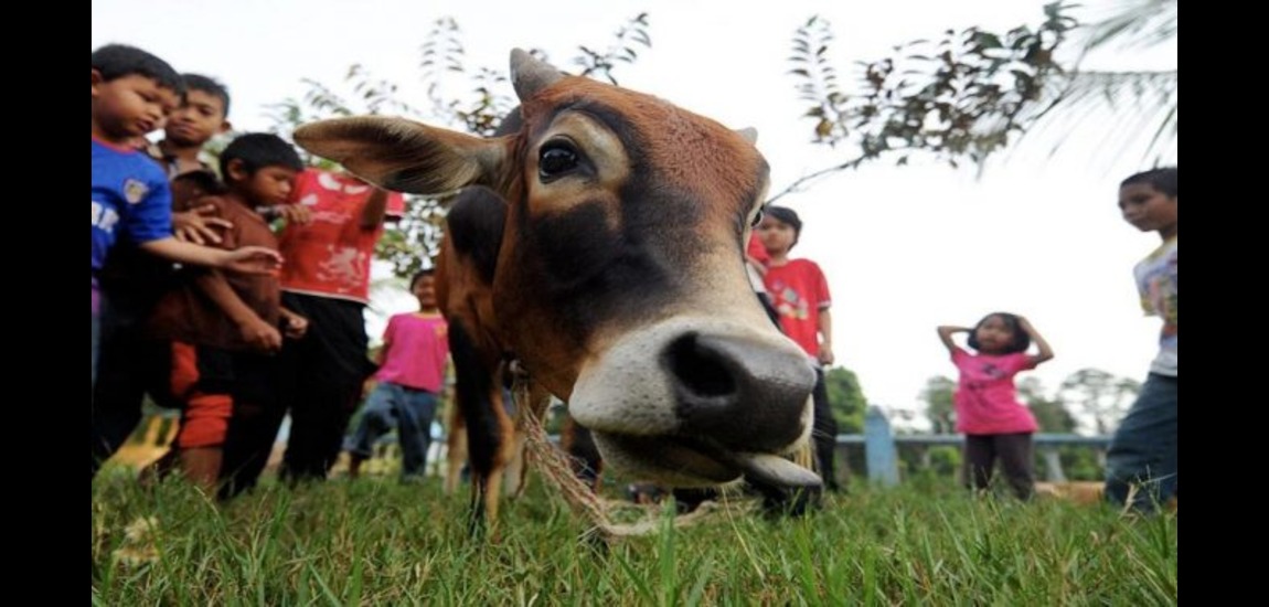 10 Fakta Menarik Hari Raya Aidiladha Yang Perlu Anda Tahu