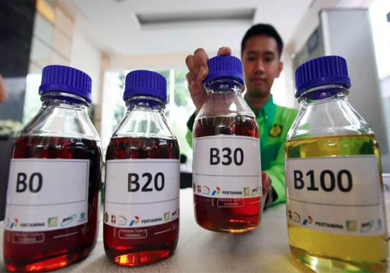 Indonesia Melancarkan Pertikaian WTO Berkenaan Duti EU ke Atas Biodiesel