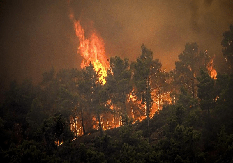 5 Fakta Utama Mengenai Kesan Asap Kebakaran Hutan terhadap Kesihatan Otak