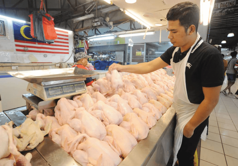 Bekalan Ayam Lebih Stabil Jika Harga Subsidi Ayam Dihapuskan