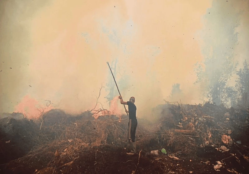 Indonesia Isytihar Darurat Pencemaran Udara