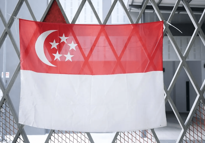 Singapura Melaksanakan Undang-undang Campur Tangan Asing: Tindakan Pertama Terhadap Warganegara