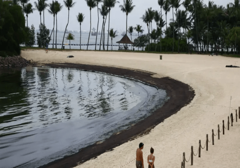 Singapura Bekerja Keras Bersihkan 400 Tan Tumpahan Minyak di Pantai