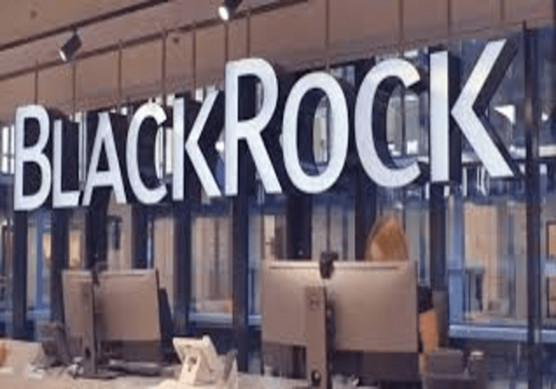 Petisyen ‘Katakan Tidak kepada BlackRock’ Raih Sokongan Melebihi 8,000 Tandatangan