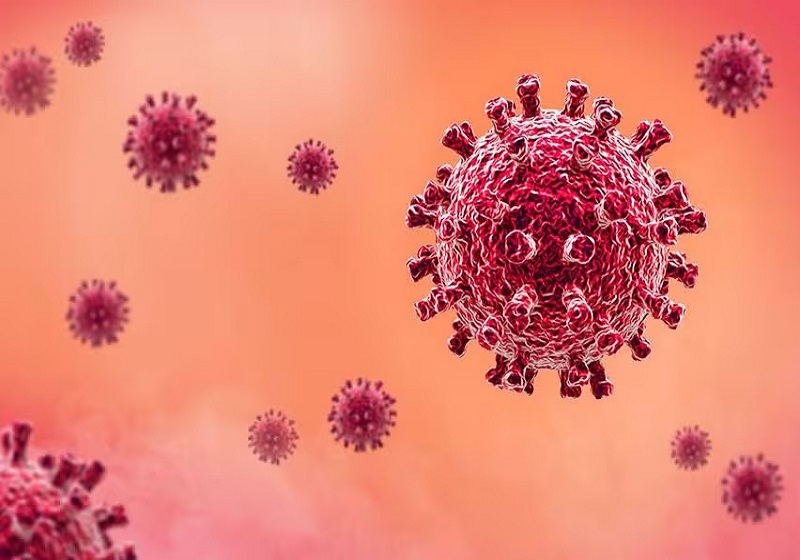 Virus HMPV: ICMR Temui Dua Kes Baharu di Bengaluru, India