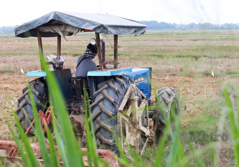 Harga Lantai Padi: Pesawah Jitra Sanggup Tunggu Pengumuman