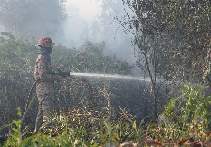 Bomba Bertungkus-Lumus Kawal Kebakaran Hutan Paya Gambut di Pekan