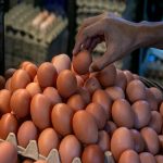 subsidi telur ayam