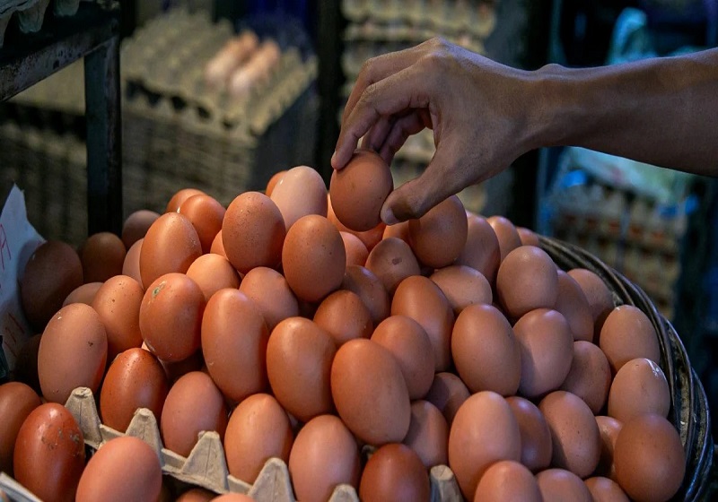 Harga Telur Ayam Berubah Bermula 1 Ogos 2025 Selepas Subsidi Dihapuskan