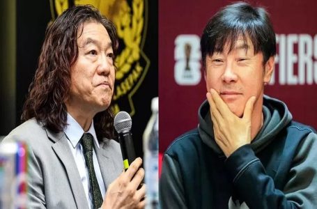 shin tae yong
