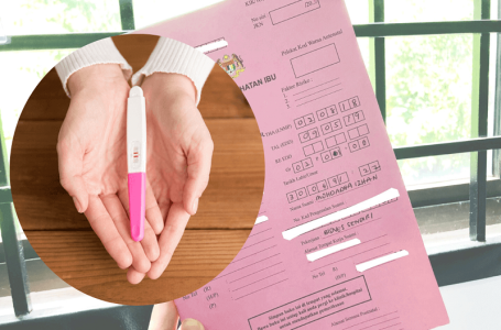 cara daftar buku pink