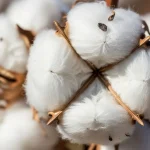 kelebihan kain kapas