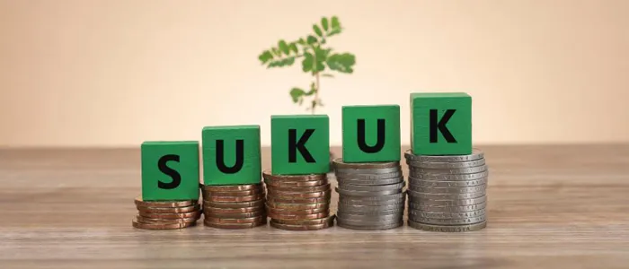 apa itu sukuk