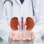 apa itu transplantasi ginjal