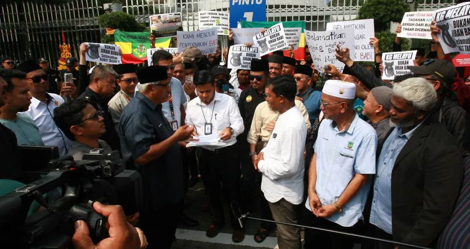 ladang babi bukit tagar