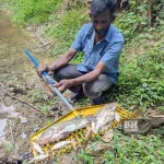 pencemaran sungai air terjun