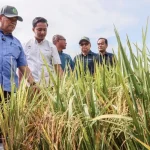 bekalan makanan Malaysia