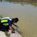 air Sungai Linggi berbuih