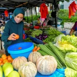 harga sayur naik