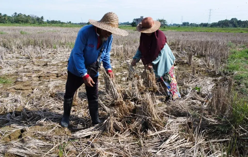Tawau Kini Kawasan Bencana Kemarau